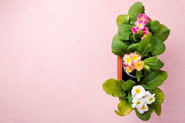 Copy-space bloemen potten op tafel