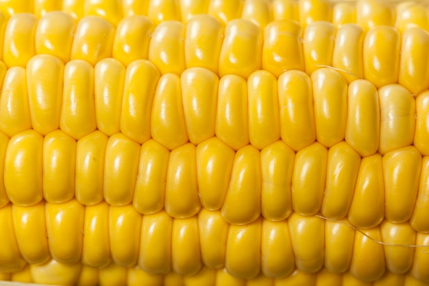 Corn achtergrond