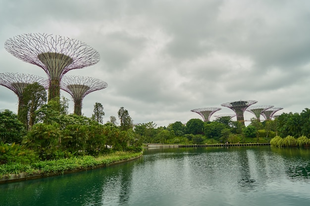 dag moderne groene wolken botanische