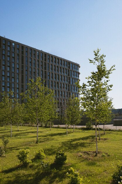 Daglicht analoog stadslandschap met gebouwen