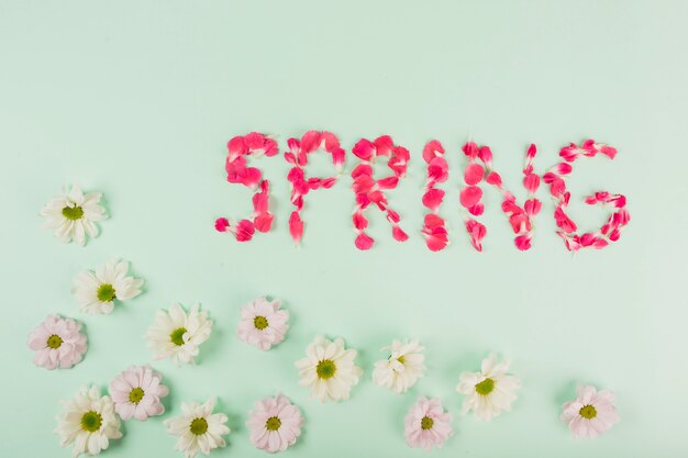 Daisy richt zich bij het schrijven van de lente