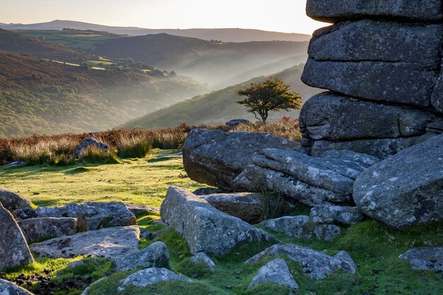 Dartmoor National Park, omringd door heuvels onder het zonlicht in de ochtend in het VK