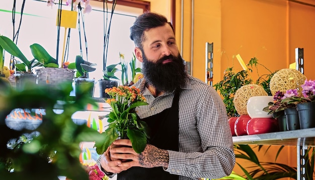 De bebaarde mannelijke bloemenverkoper houdt bloemen in een pot in een tuinmarktwinkel.