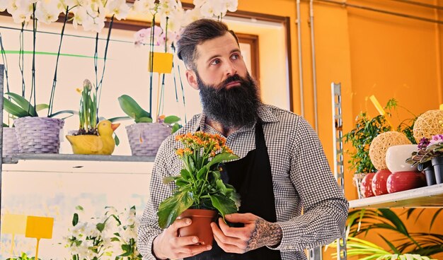 De bebaarde mannelijke bloemenverkoper houdt bloemen in een pot in een tuinmarktwinkel.