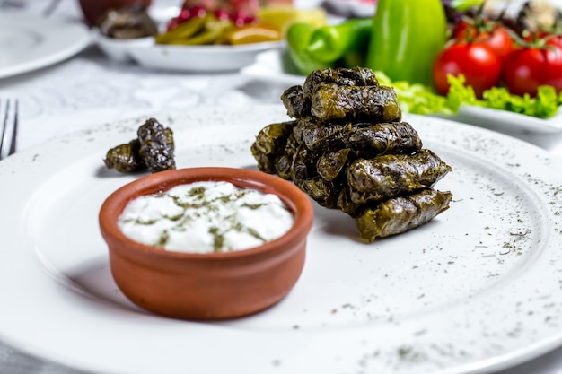 Gratis foto de druiven verlaat dolma-gehaktdruif verlaat het duidelijke youghurt muntkruiden zijaanzicht