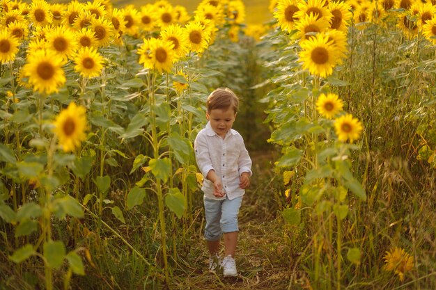 De gelukkige jonge familie, de moedervader en de zoon, glimlachen, houden en koesteren op het zonnebloemgebied