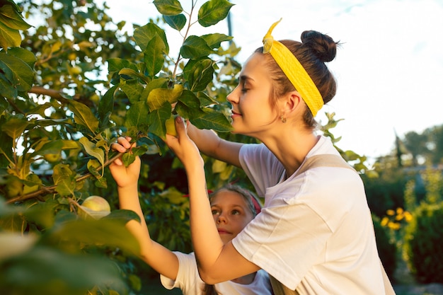 De gelukkige jonge familie tijdens het plukken appels in een tuin buitenshuis
