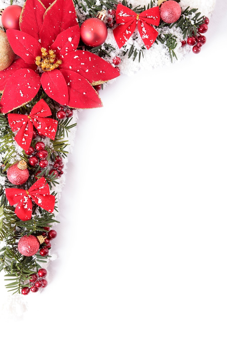 Gratis Foto de grens van kerstmis met poinsettia