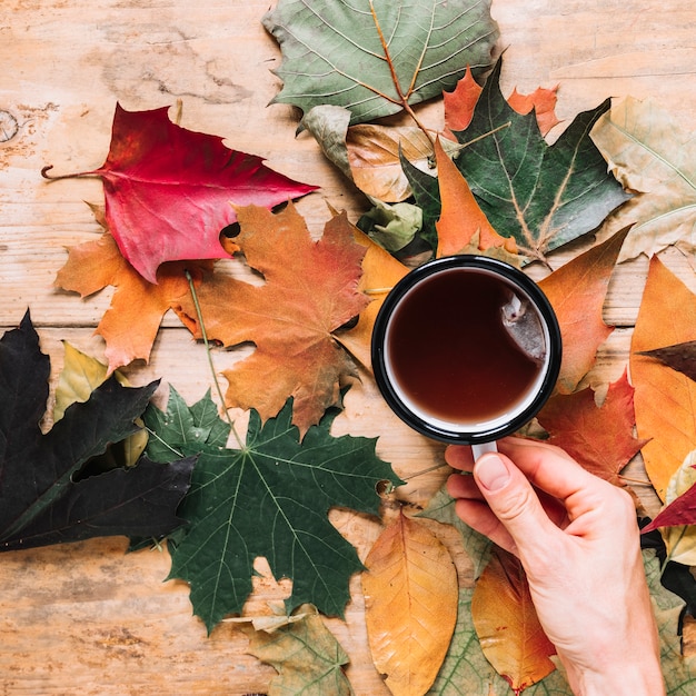 De herfstbladeren en kop thee op houten achtergrond