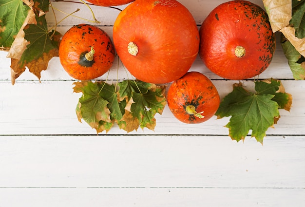 De herfstpompoenen en bladeren op een witte houten lijst. Thanksgiving-tafel. Halloween.