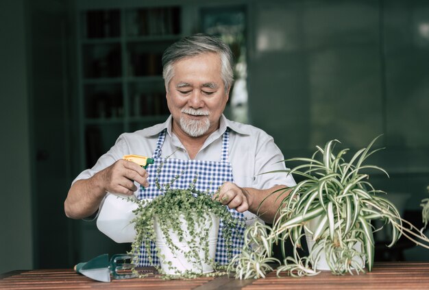 De hogere mens plant thuis een boom