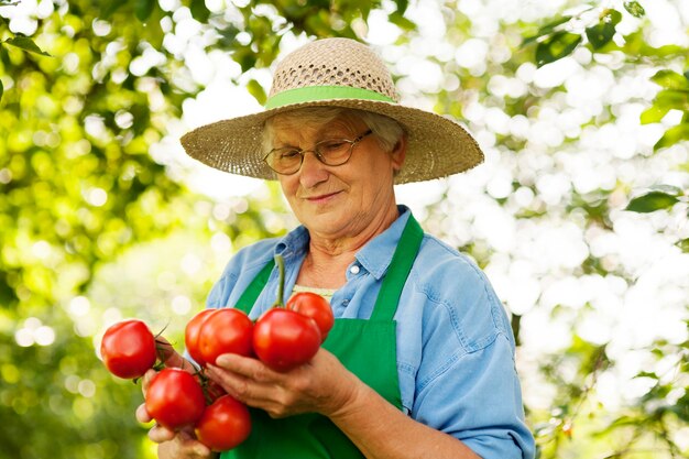 De hogere tomaten van de vrouwenholding