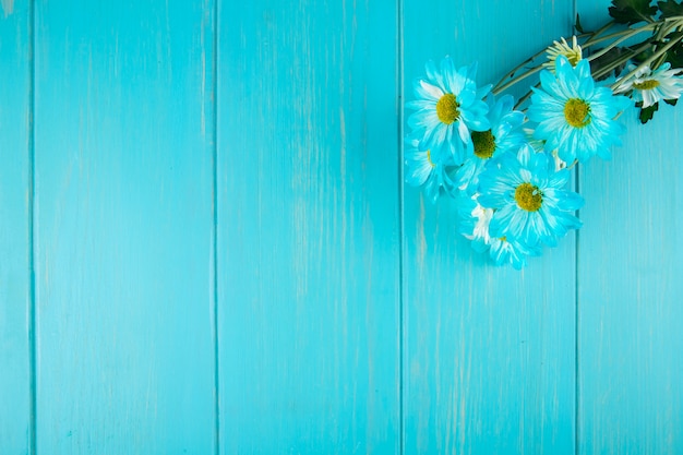 De hoogste mening van het blauwe madeliefje van kleurengerbera bloeit boeket op blauwe houten achtergrond met exemplaarruimte