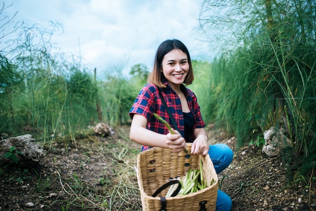 De jonge landbouwer oogst verse asperge met hand gezet in de mand.