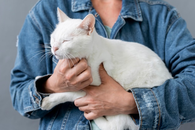 De kattenzitting van de close-up in eigenaarwapens