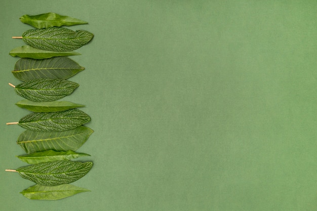 Gratis foto de kers verlaat kader op groene achtergrond