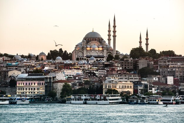 De oceaan van Istanboel met cruiseschip