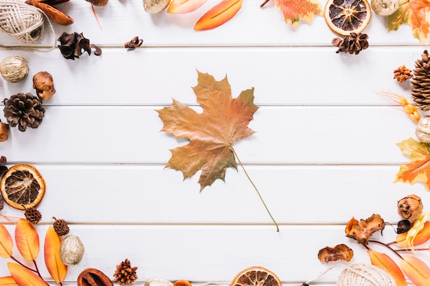 De samenstelling van het de herfstkader met esdoornblad in midden