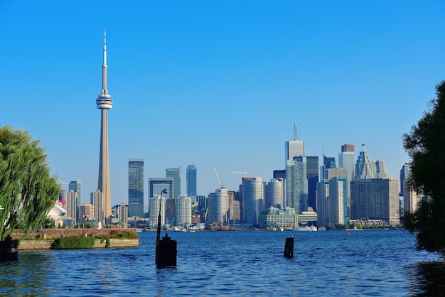 De skyline van Toronto vanuit het park