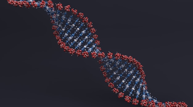 De spiraal van DNA