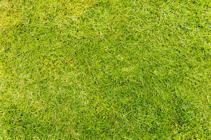 Gratis Foto de textuur van de achtergrond is groen gras.