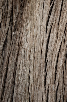 De textuur van donkerbruin oud hout. boomschors, houten achtergrond. breed bord textuur close-up, panoramische banner.
