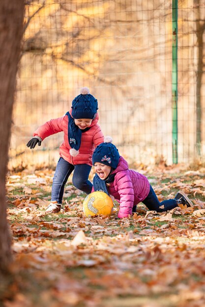 De twee kleine baby meisjes spelen in herfstbladeren