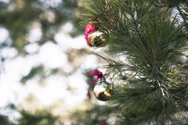 Decoratieve kerstboom in de natuur