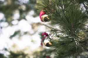 Gratis foto decoratieve kerstboom in de natuur
