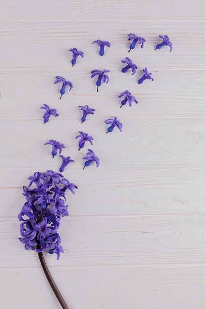 Decoratieve kleurrijke bloemen