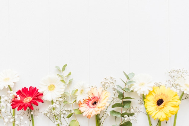 Gratis foto decoratieve kleurrijke madeliefjebloemen op een achtergrond