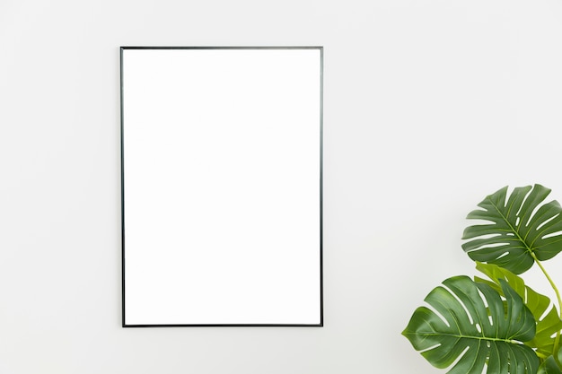 Decoratieve plant met leeg frame