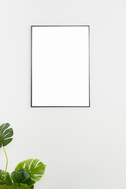 Decoratieve plant met leeg frame