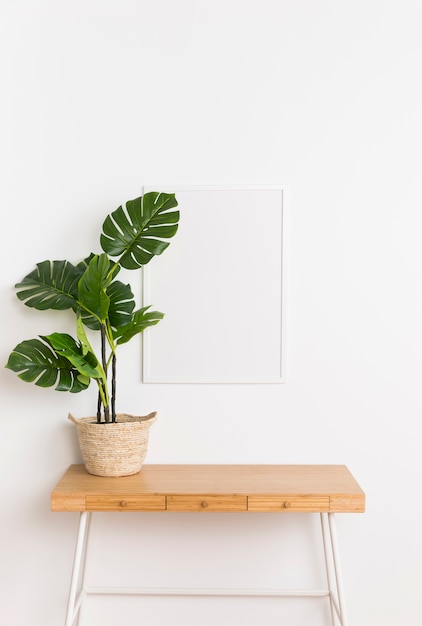 Gratis foto decoratieve plant met leeg frame