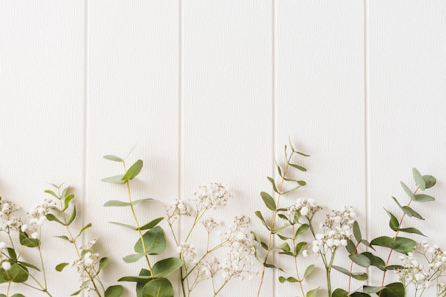 Decoratieve planten op een achtergrond