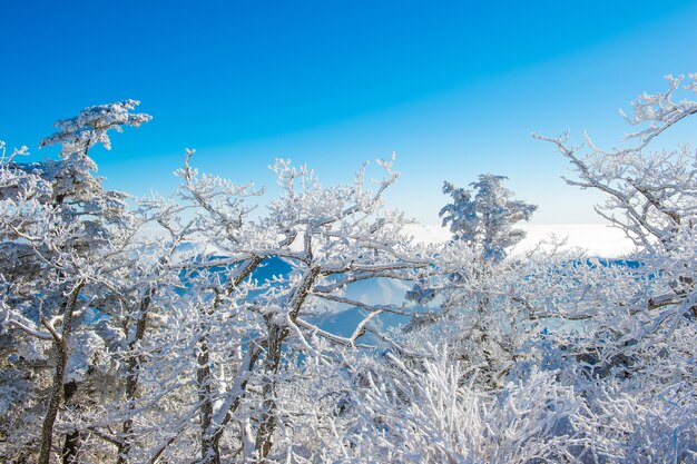 Deogyusan in de winter, korea