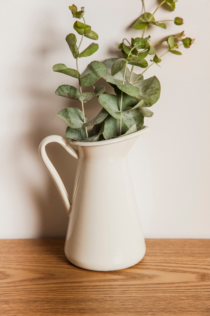 Gratis Foto dichtbijzicht van plant op houten oppervlak