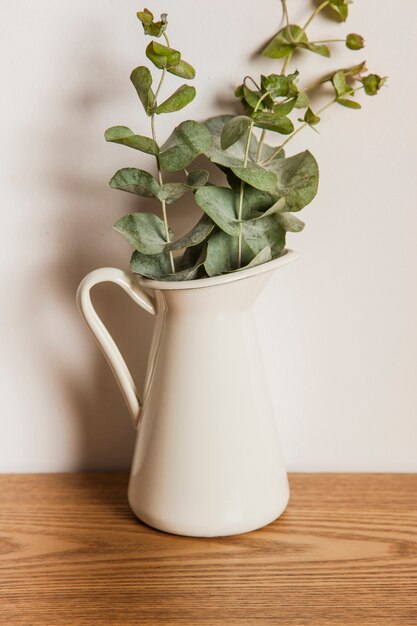 Dichtbijzicht van plant op houten oppervlak