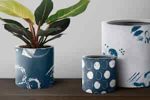 Gratis foto dieffenbachia camille plant in een blauwe pot