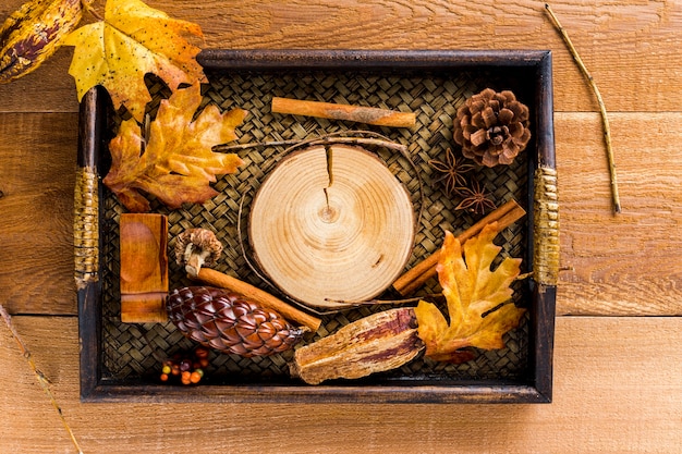 Dienblad met droge bladeren en herfstdecoratie van kegels