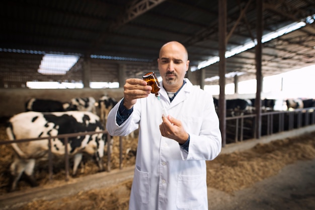 Dierenarts bij veeboerderij bedrijf spuit en fles vaccinatie voorbereiden