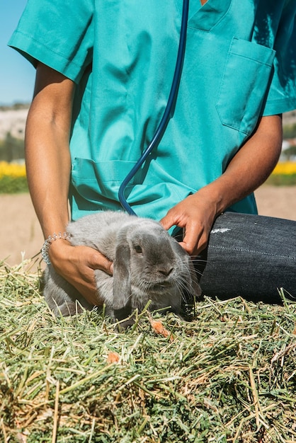 Gratis foto dierenarts die een konijntje op een hooigebied onderzoekt