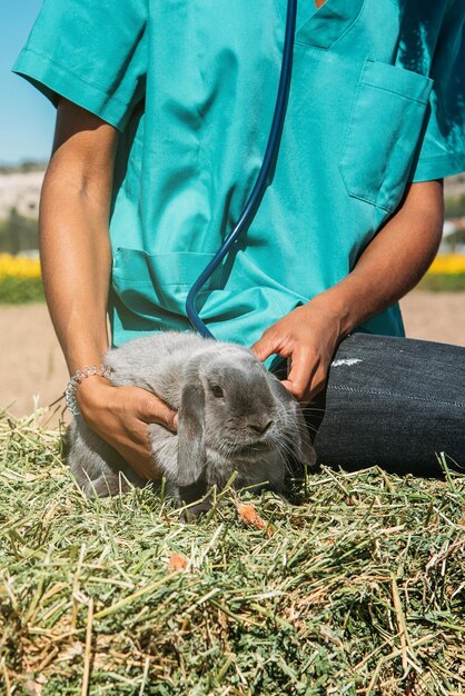 Dierenarts die een konijntje op een hooigebied onderzoekt