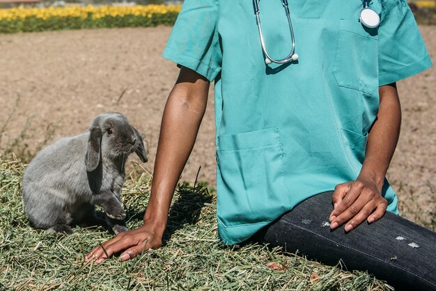 Dierenarts die een konijntje op een hooigebied onderzoekt