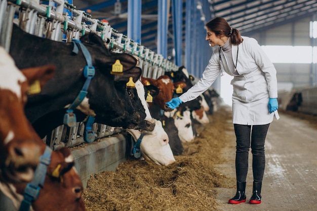 Dierenarts in laboratoriumjas staande bij koeienstal