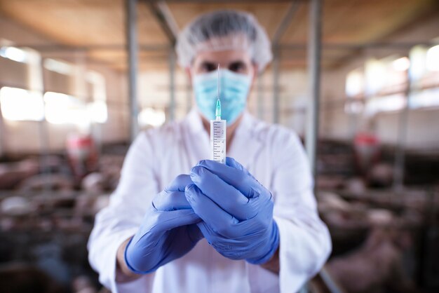 Dierenarts met beschermende handschoenen en masker vaccin injectie voorbereiden op varkenshouderij