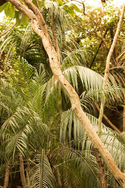 Dierlijke habitat