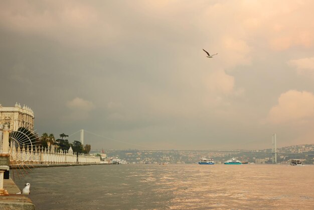 Dijk in de stad Istanbul op een sombere dagweergave van de brug van de baasschepen en een meeuw die in de lucht vliegt