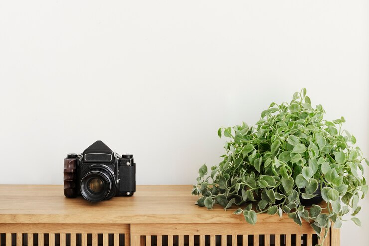 Gratis Foto dischidia oiantha plant door een analoge camera op een houten kast