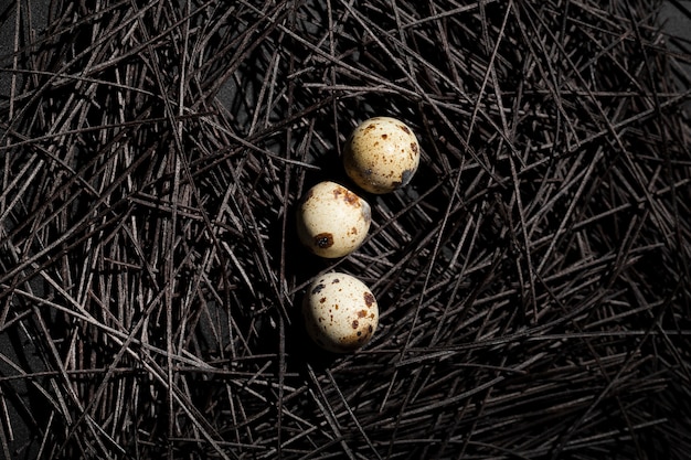 Gratis foto donker nest met kwartelseieren